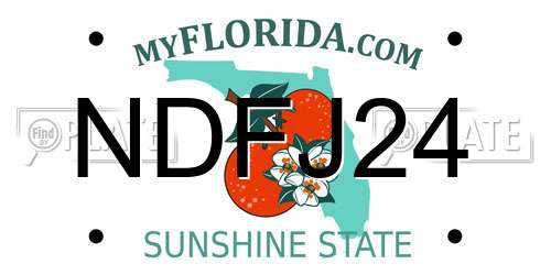 NDFJ24 Florida License Plate