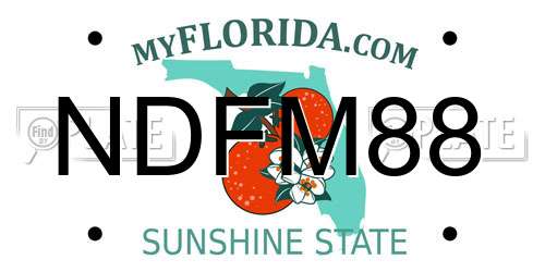 NDFM88 Florida License Plate