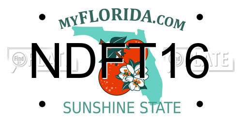 NDFT16 Florida License Plate
