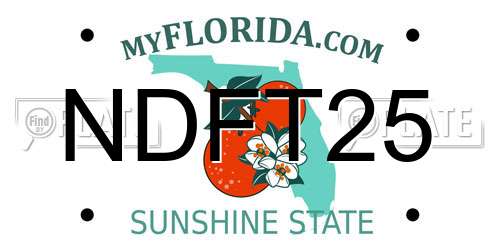NDFT25 Florida License Plate