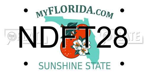 NDFT28 Florida License Plate