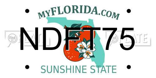 NDFT75 Florida License Plate