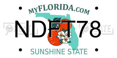 NDFT78 Florida License Plate