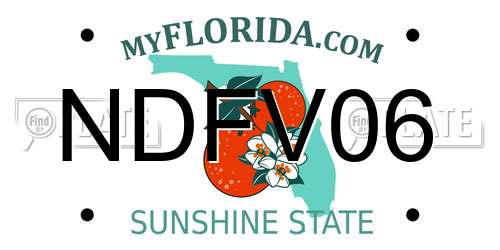 NDFV06 Florida License Plate