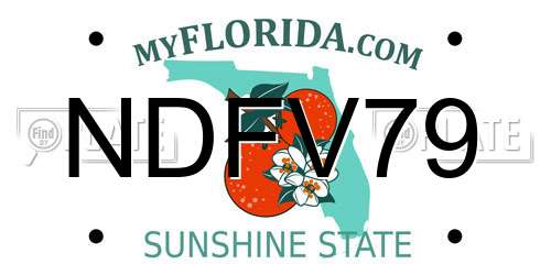NDFV79 Florida License Plate