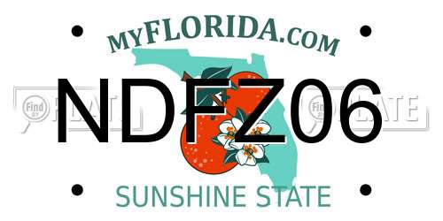 NDFZ06 Florida License Plate