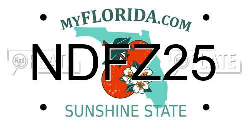 NDFZ25 Florida License Plate