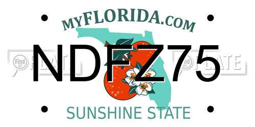 NDFZ75 Florida License Plate