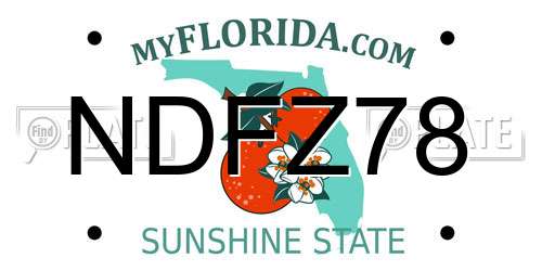 NDFZ78 Florida License Plate