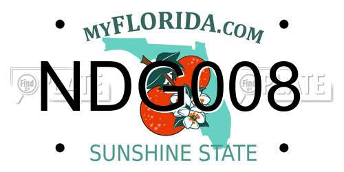 NDG008 Florida License Plate