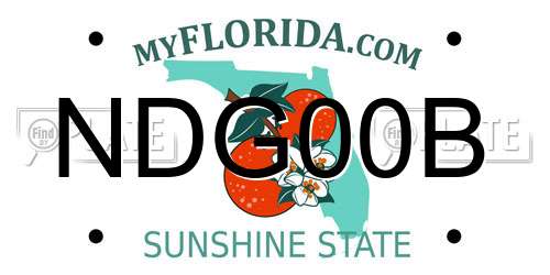 NDG00B Florida License Plate