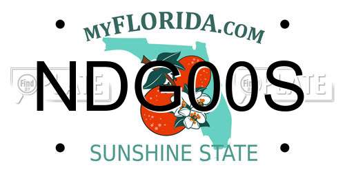 NDG00S Florida License Plate