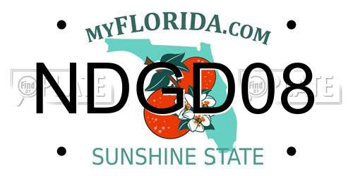 NDGD08 Florida License Plate