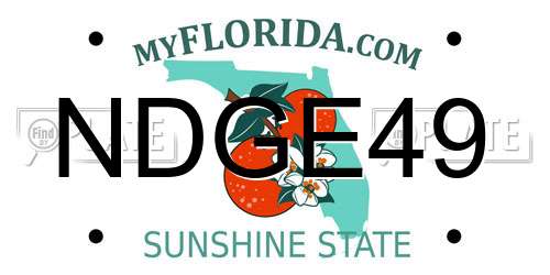 NDGE49 Florida License Plate