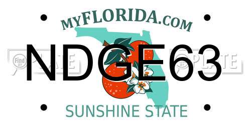 NDGE63 Florida License Plate