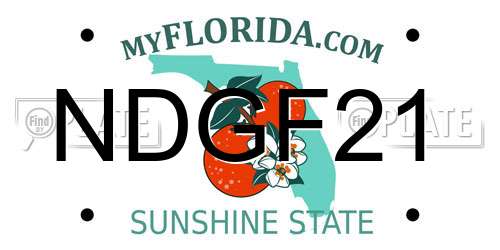NDGF21 Florida License Plate