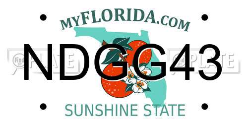 NDGG43 Florida License Plate