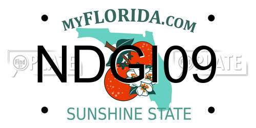 NDGI09 Florida License Plate