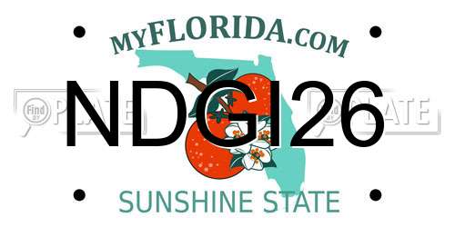 NDGI26 Florida License Plate