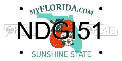 NDGI51 Florida License Plate