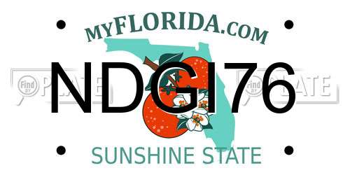 NDGI76 Florida License Plate