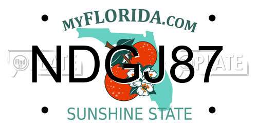 NDGJ87 Florida License Plate