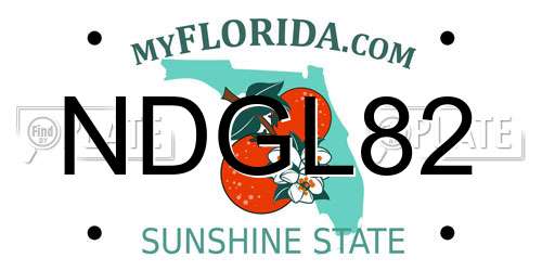 NDGL82 Florida License Plate