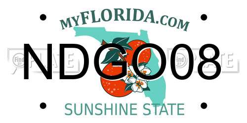 NDGO08 Florida License Plate
