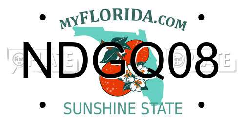 NDGQ08 Florida License Plate