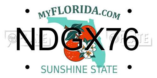 NDGX76 Florida License Plate