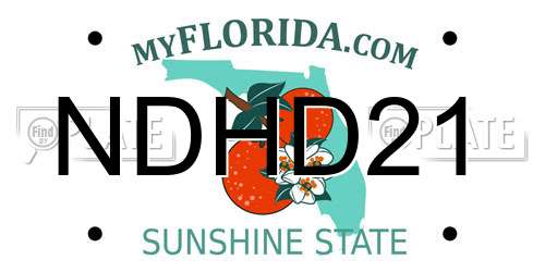 NDHD21 Florida License Plate