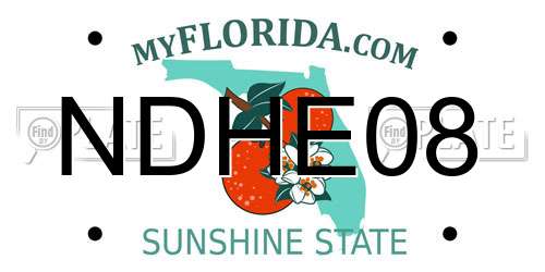 NDHE08 Florida License Plate