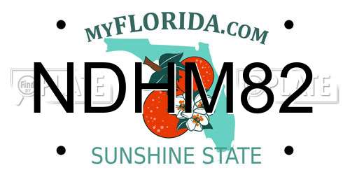 NDHM82 Florida License Plate