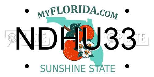 NDHU33 Florida License Plate