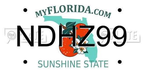 NDHZ99 Florida License Plate