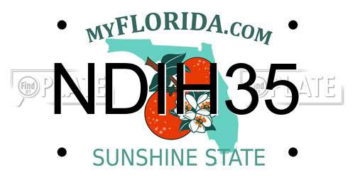NDIH35 Florida License Plate