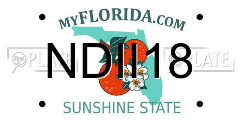 NDII18 Florida License Plate