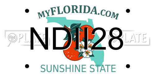 NDII28 Florida License Plate