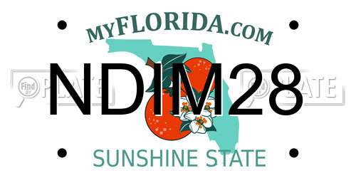 NDIM28 Florida License Plate