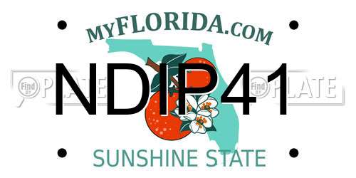 NDIP41 Florida License Plate
