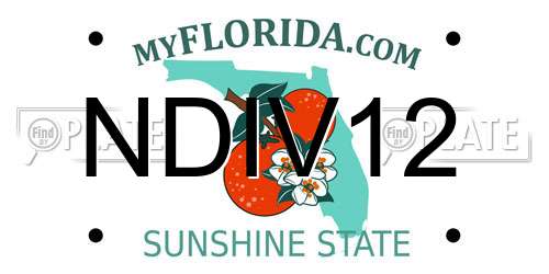 NDIV12 Florida License Plate