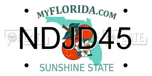 NDJD45 Florida License Plate