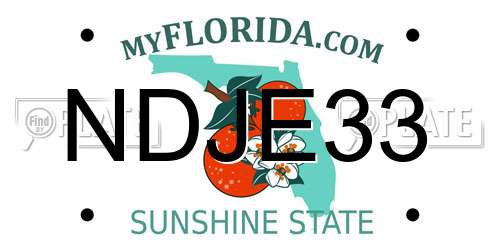 NDJE33 Florida License Plate