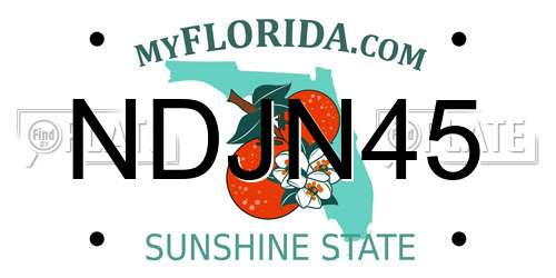 NDJN45 Florida License Plate