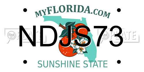 NDJS73 Florida License Plate