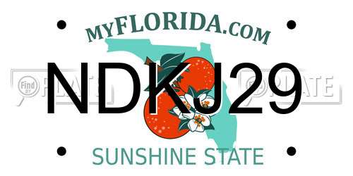 NDKJ29 Florida License Plate