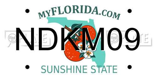 NDKM09 Florida License Plate