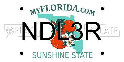 NDL3R Florida License Plate