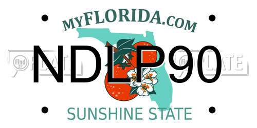 NDLP90 Florida License Plate