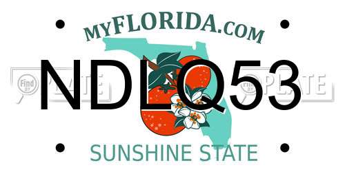 NDLQ53 Florida License Plate
